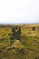 Cefn Golau, Cefn Golau Cemetery (SW) (SW-bound: Hail-and-Ride) image 1