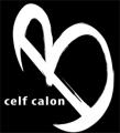 Celf Calon Wedding Photography logo