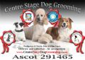 Centre Stage Dog Grooming logo
