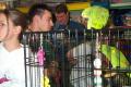 Champion Pet Supplies image 2