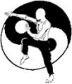 Chelmsford Wing Chun - Kung Fu image 1