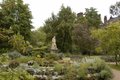 Chelsea Physic Garden image 4