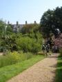 Chelsea Physic Garden image 8
