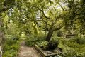 Chelsea Physic Garden image 1