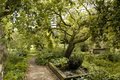 Chelsea Physic Garden logo