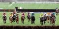 Cheltenham Racecourse image 3
