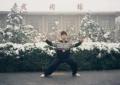 Chen Village Tai Chi image 1