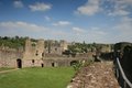 Chepstow Castle image 8