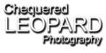 Chequered Leopard Photography Studio image 2