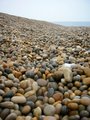 Chesil Beach Centre image 5