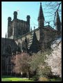 Chester Cathedral image 4