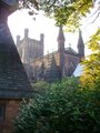 Chester Cathedral image 9