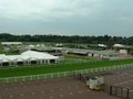 Chester Racecourse image 3