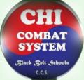 Chi Combat System Martial Art - Brixton and Clapham image 1