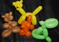 Childrens Entertainer Disco, Balloon Modelling / Twisting Party Game logo