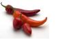 Chillies image 1