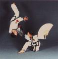 Chilsong Martial Arts image 4