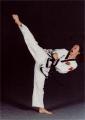 Chilsong Martial Arts image 1