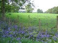 Chirk Castle image 4