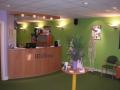 Chiropractic at Wellbeing Clinics image 3