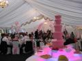 Chocolate Coast Chocolate Fountain Hire image 4