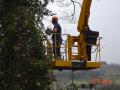 Chris Gill Tree Surgery Ltd image 3