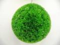 Chris Robinson - Artificial Topiary Balls image 5