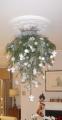 Christmas Trees Cirencester image 4