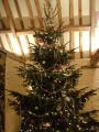 Christmas Trees Cirencester logo