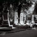 City of London Cemetery and Crematorium image 3