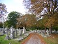 City of London Cemetery and Crematorium image 1