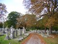 City of London Cemetery and Crematorium logo