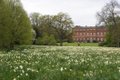 Clandon Park image 2