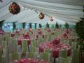 Claremont Marquees image 4