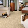Classic Carpet & Upholstery Cleaning image 2