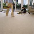 Classic Carpet & Upholstery Cleaning image 3