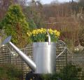 Cleeve Nursery and Garden Centre image 3