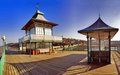 Clevedon Pier image 3