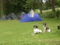 Clogher Valley Country Caravan Park image 8