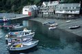 Clovelly image 10