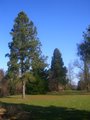 Clumber Park image 2