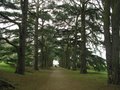 Clumber Park image 6