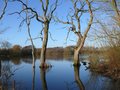 Coate Water Country Park logo