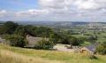 Coedmor-fach Cottages image 1