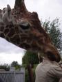 Colchester Zoo image 5