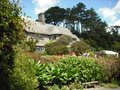 Coleton Fishacre image 5