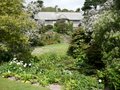 Coleton Fishacre image 6