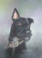 Colin Ashby Pet Portrait Artist image 2