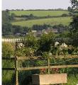 Collacott Holiday Cottages North Devon image 2