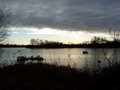 Colwick Marina & Country Park image 3